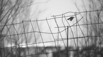 Fragile